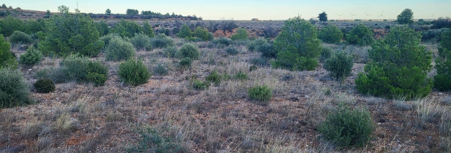 Terrain  21840 m² à vendre à Salses-le-Château (66600)