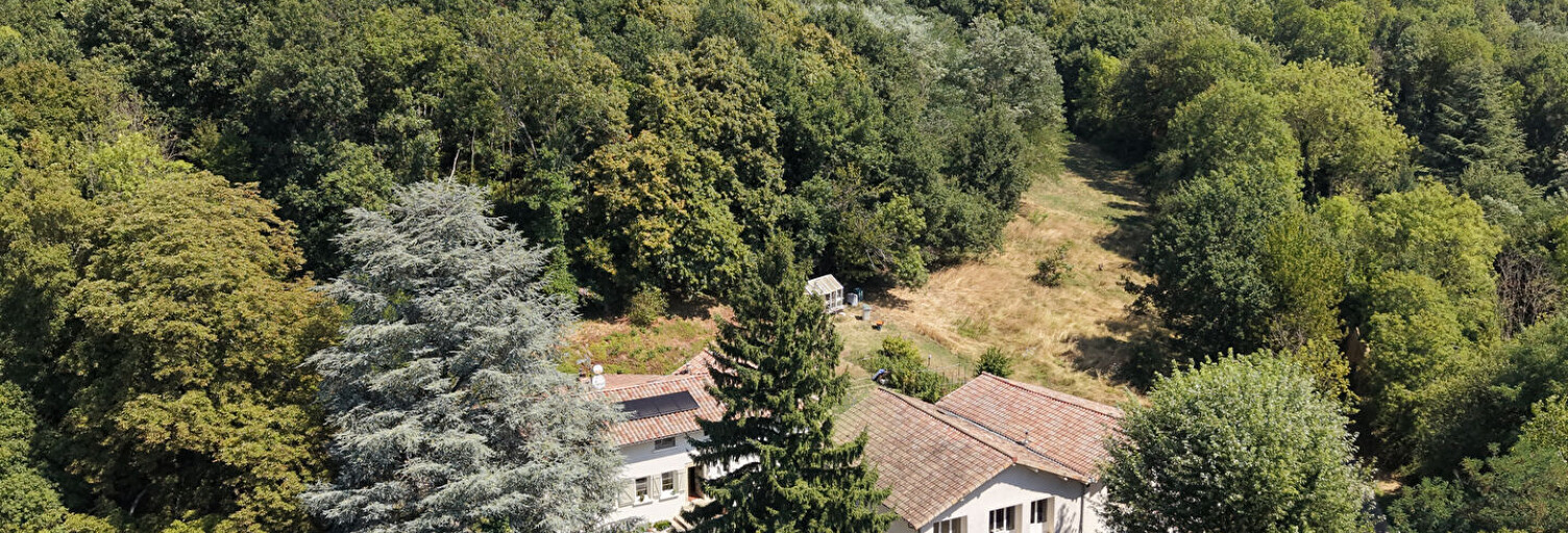 Maison 7 Pièces 165 m² à vendre à Les Côtes-d'Arey (38138)