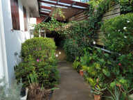 HAUT DE MAISON 4 PIECES ET JARDIN - LE TAMPON — photo 2