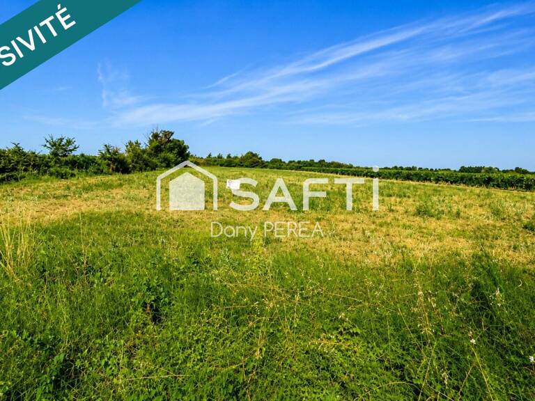 Terrain agricole de 4304m2 — photo 1