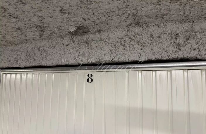 GAMBETTA TRACHEL — photo 4