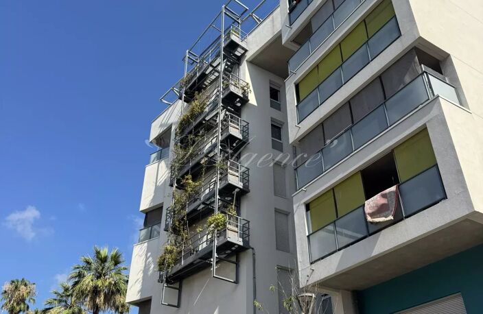 GAMBETTA TRACHEL — photo 5