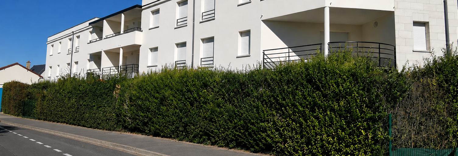 Appartement 3 Pièces 63 m² à vendre à Reims (51100)