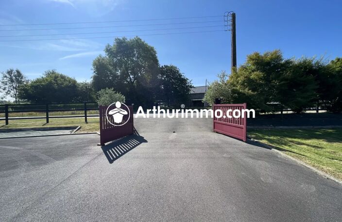 Hangar 329 M2 sur terrain de 2500 M2 — photo 4