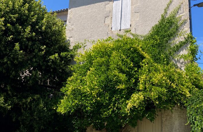Vente Maison de village 5 pièces — photo 2