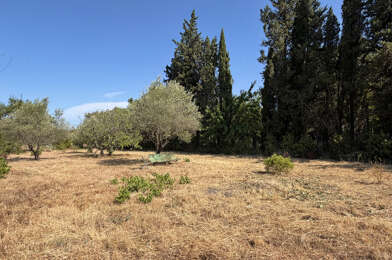 Terrain  130000 €