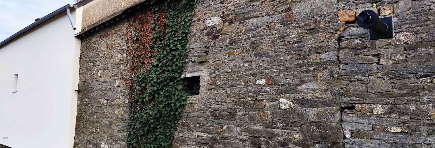 Photo N° 2