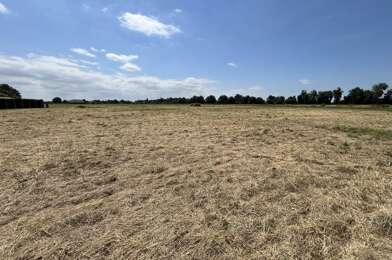 Terrain  40000 €