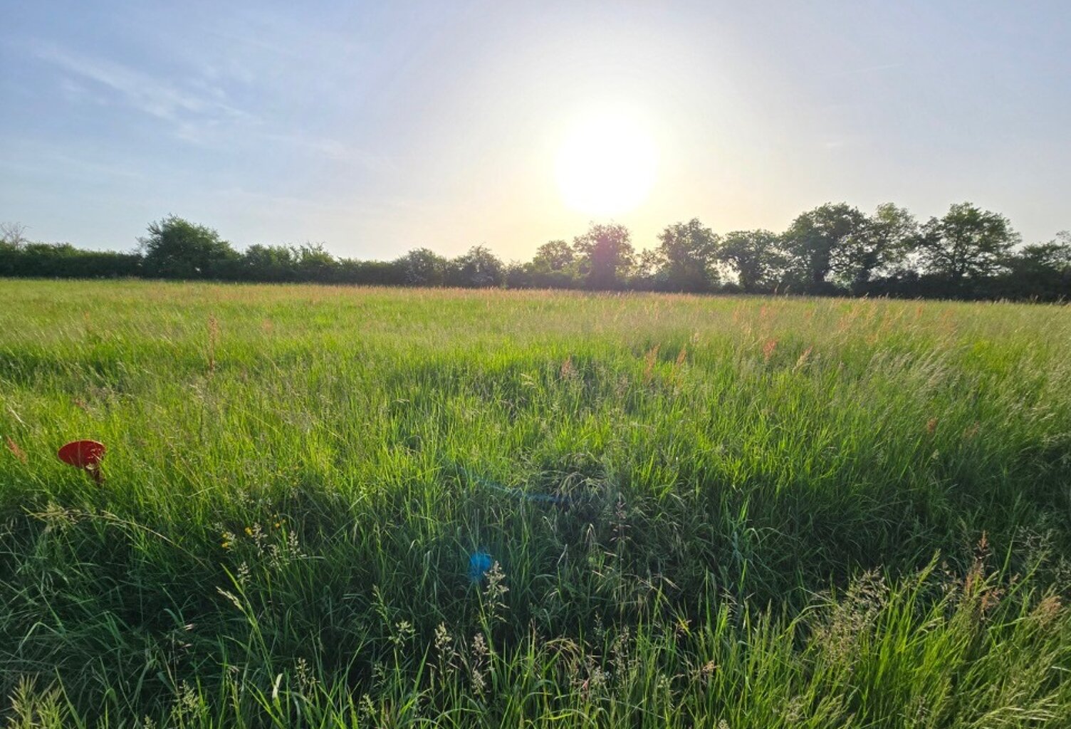 Terrain à bâtir à Lalandusse (47330) — photo 1