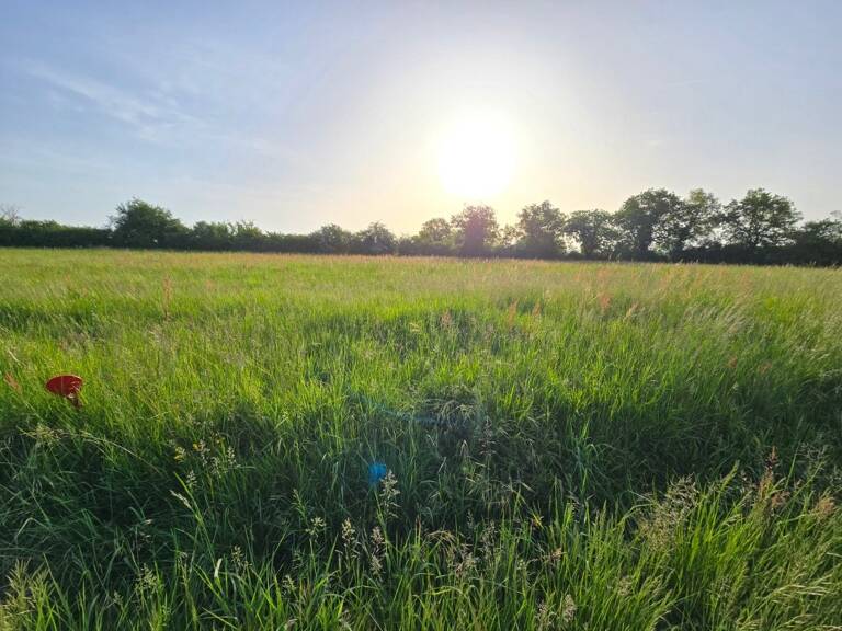 Terrain à bâtir à Lalandusse (47330) — photo 1