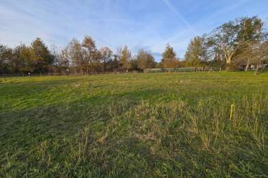 Terrain  43000 €