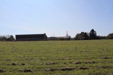 Terrain  29000 €