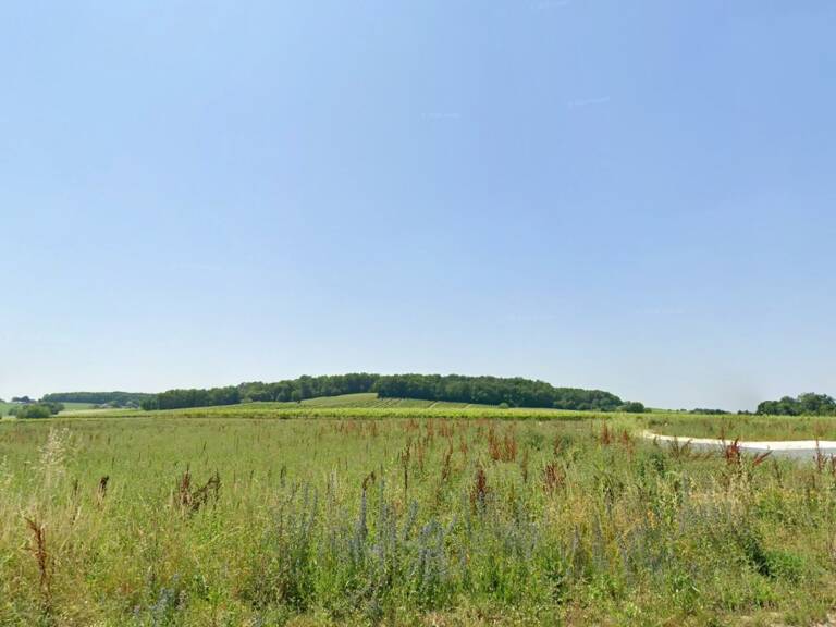 Terrain à bâtir à Sigoulès-et-Flaugeac (24240) — photo 1