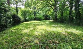 Terrain  564 m² à vendre à Moëlan-sur-Mer (29350)