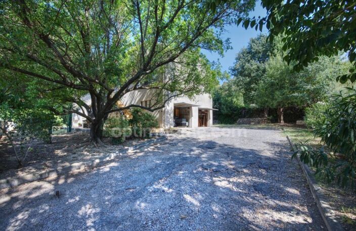 MONTPELLIER - MAISON DE CARACTÈRE – 7 CHAMBRES – T3 INDÉPENDANT – 2 GARAGES — photo 2