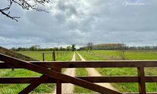 Maison 7 Pièces 232 m² à vendre à Courcelles-de-Touraine (37330)