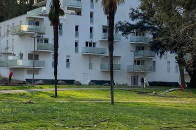 Appartement 2 pièces 800 €