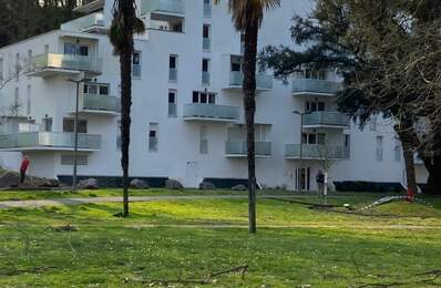 Appartement de 44m2 à louer sur Dax — photo du bien