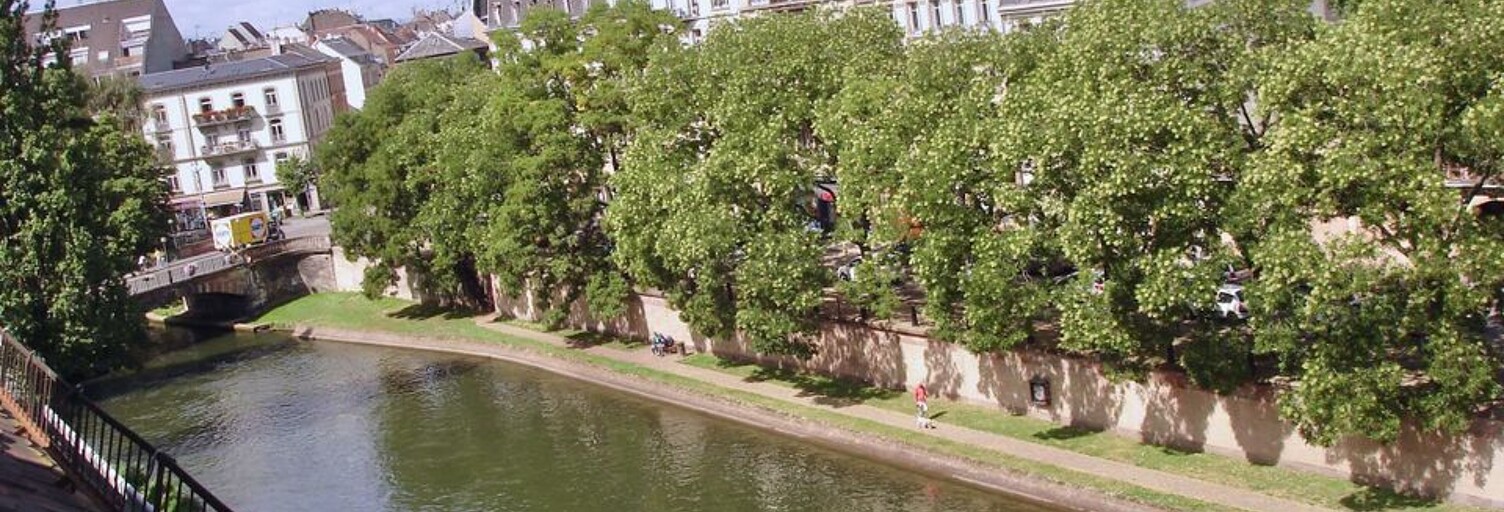 Appartement 4 Pièces 80 m² à louer à Strasbourg (67000)