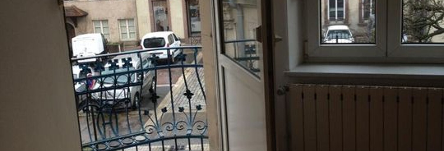 Appartement 4 Pièces 84 m² à louer à Sarrebourg (57400)