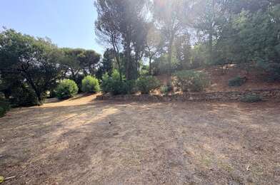 Terrain  790000 €