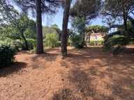 Opportunité rare : Maison avec fort potentiel d'extension / Projet de rénovation ou nouvelle maison — photo 2