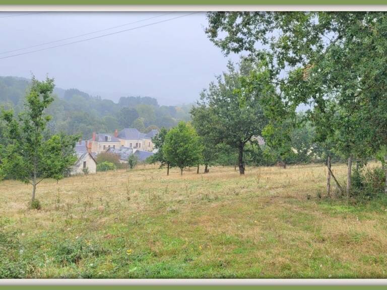 Dpt Sarthe (72), à vendre SAINT GERMAIN D'ARCE terrain agricole 5630 m2 — photo 1