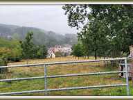 Dpt Sarthe (72), à vendre SAINT GERMAIN D'ARCE terrain agricole 5630 m2 — photo 4
