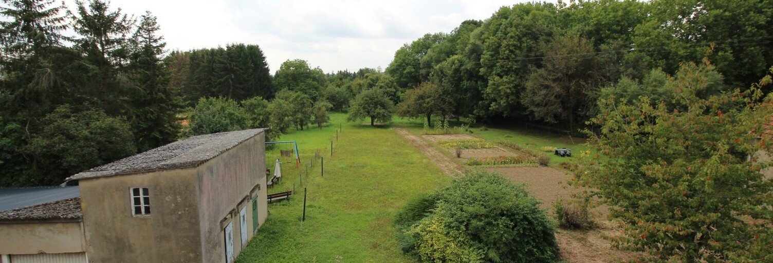 Photo N° 2