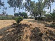 Terrain à vendre 2064 m²  - SAINTE MARIE LA MER - A 5 min des plages — photo 3