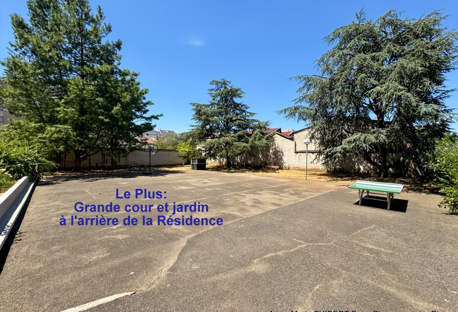 Appartement à vendre 2 pièces VILLEURBANNE (69) avec cave — photo 1