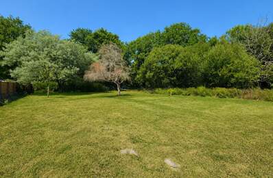 Riec-sur-Bélon - Terrain de 704 m² – Hors lotissement — photo du bien