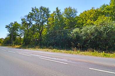 Terrain  20000 €