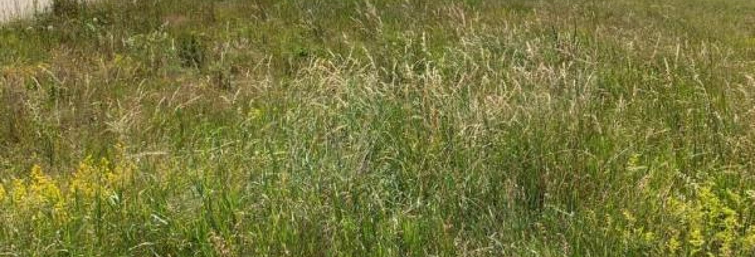 Terrain  724 m² à vendre à Langogne (48300)