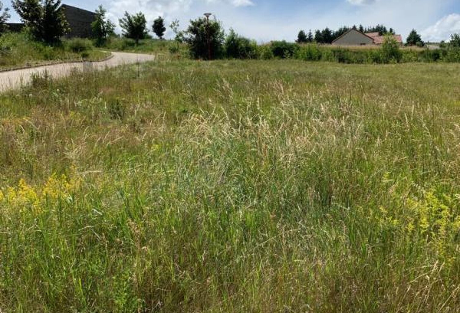 Terrain Langogne  viabilisé de 732 m2 — photo 1