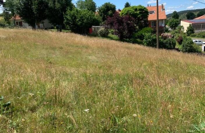Terrain Langogne  viabilisé de 732 m2 — photo 3