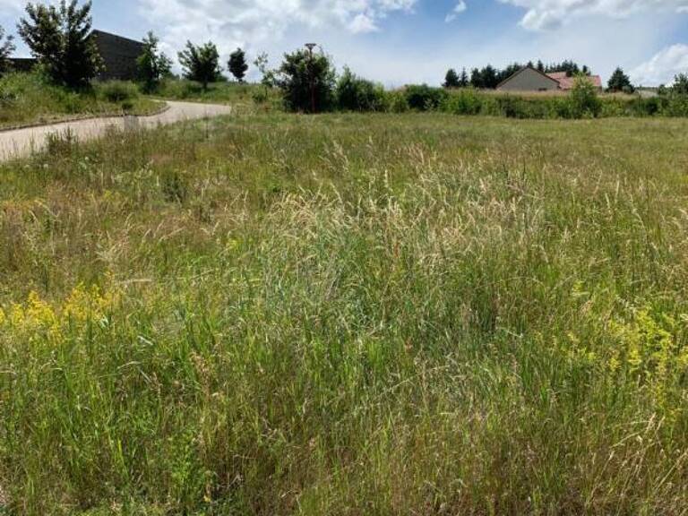 Terrain à bâtir Langogne 1090 m2 — photo 1