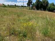Terrain viabilisé  Langogne 807 m2 — photo 2