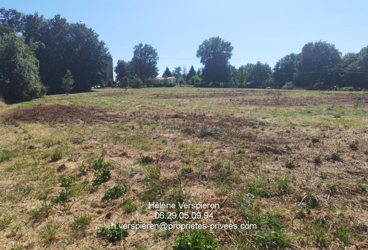 Beau terrain constructible de 8294 m2 — photo 1
