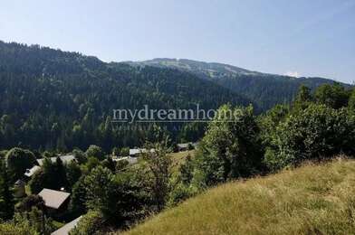Terrain  215000 €