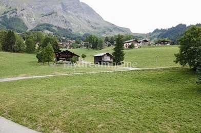 Terrain  250000 €