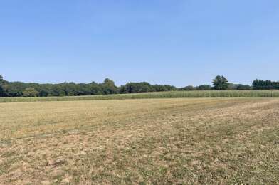 Terrain  64500 €