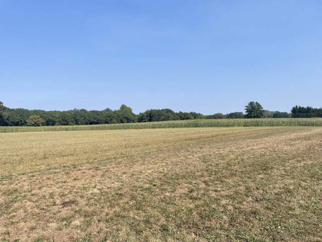 Terrain constructible 15min de Dax — photo du bien