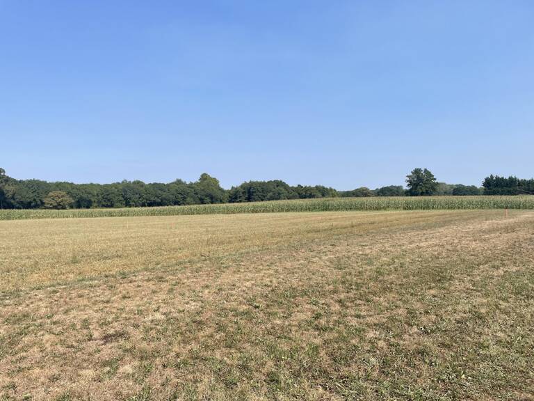 Terrain constructible 15min de Dax — photo 1