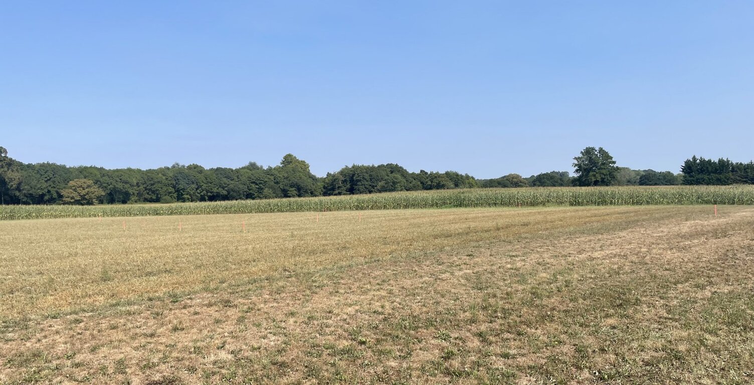 Terrain constructible 15min de Dax — photo 1