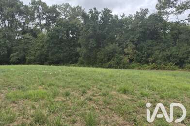 Terrain  250000 €