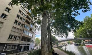 Appartement 3 Pièces 56 m² à louer à Toulouse (31400)