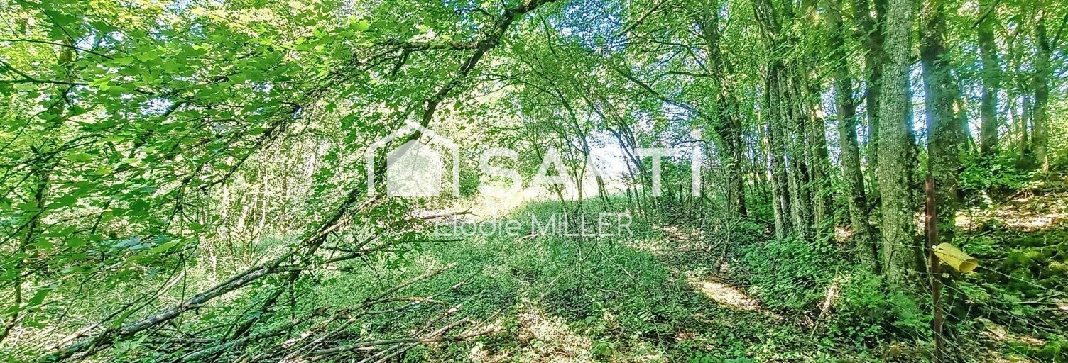 Terrain  2593 m² à vendre à Pulligny (54160)