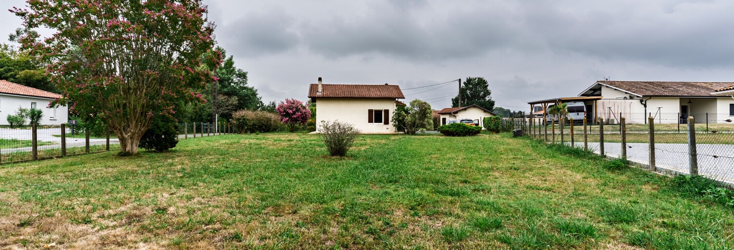 Photo N° 2