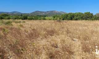 Terrain  595 m² à vendre à La Palme (11480)